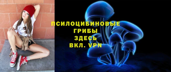 альфа пвп Медногорск