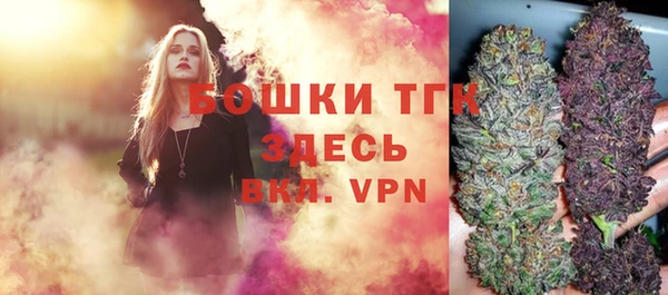 прущие крисы Мегион