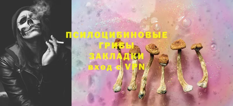 Псилоцибиновые грибы Psilocybine cubensis  сколько стоит  Заволжск 